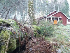 107 -  ....naar bos met te koop staande vakantie woning