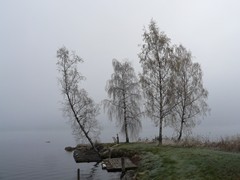 128-Rottneros Park aan Mellan Fryken in mist