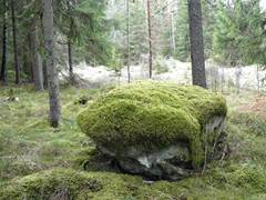 141-Harry en Hinkes achtertuin Bemoste steen