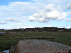 181-Hallands kustvag Grimsholmens Naturreservat