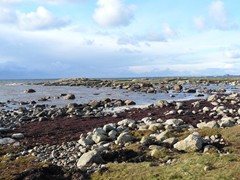 188-Hallands kustvag Grimsholmens Naturreservat