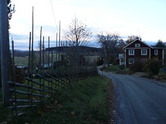 85-Centrum Tobal met zicht op buurvrouw Gun Norrby haar huis.